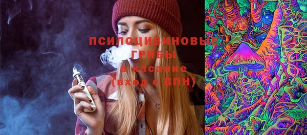 прущие грибы Домодедово